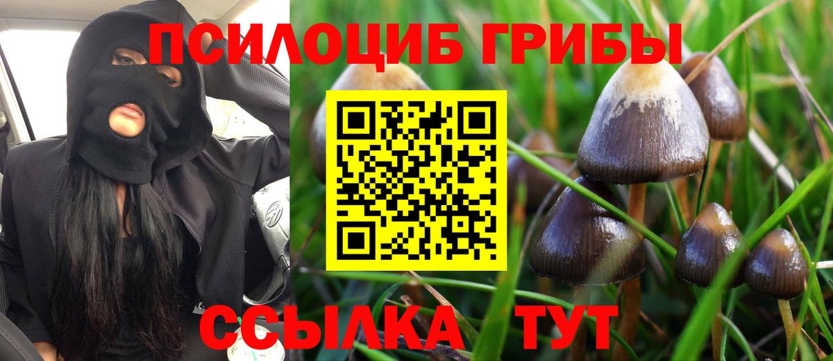 Кисловодск  Галлюциногенные грибы GOLDEN TEACHER  продажа наркотиков  Вход с VPN 