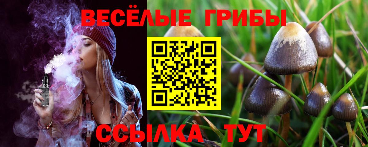 Галлюциногенные грибы ЛСД Кисловодск